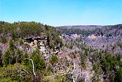 Rocky-point-overlook-tennessee1