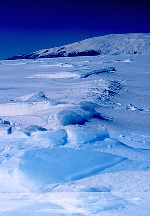 Ross Island 1999