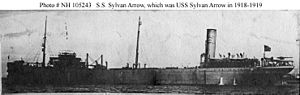 SS Sylvan Arrow (1917)
