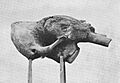 Sanga-Yuryakh Mammoth Skull