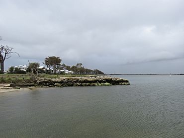 Shore of the Peel Inlet at Erskine, Western Australia, October 2021.jpg