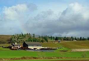 Soléna and Grand Cru Estates winery - Yamhill County, Oregon