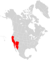 Southwest Blackout of 2011