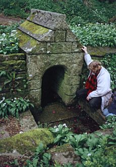 St Keyne's Holy Well - geograph.org.uk - 93820