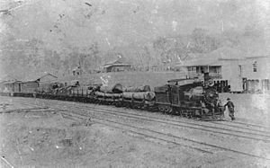 StateLibQld 1 111364 Train on the Beaudesert tramway halted at Rathdowney Station, 1912