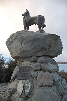 Statue of Collie Dog at Lake Tekapo (4695828734)