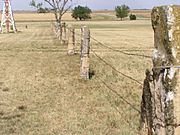 Stone Fence Posts P5310545