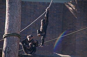 Taronga zoo, Sydney, Australia (198883575)