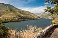 The Douro Valley (10185403284)