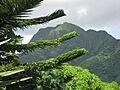 The Rainmaker from near the former Rainmaker Hotel - panoramio