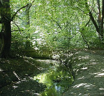 The River Ching - geograph.org.uk - 41495.jpg
