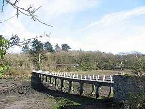 The main causeway to Ynys Gaint - geograph.org.uk - 586380