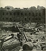 The photographic history of the Civil War - thousands of scenes photographed 1861-65, with text by many special authorities (1911) (14576140090)