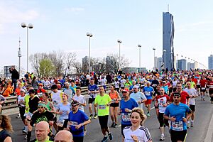 Vienna City Marathon 2015 - Reichsbrücke (3)