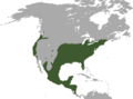 Virginia Opossum range
