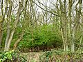 Weldon Park 3