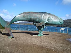 Whale sculpture Cockle Creek