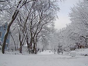 Winter in St. Paul