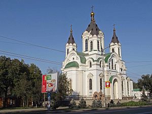 Покровский собор в Запорожье (2011)