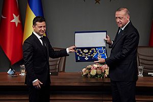 Робочий візит Президента України до Турецької Республіки 06