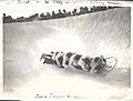 1913 Saint-Moritz Bobsleigh derby by Albert Ewald