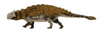 Ankylosaurus magniventris by sphenaphinae.png