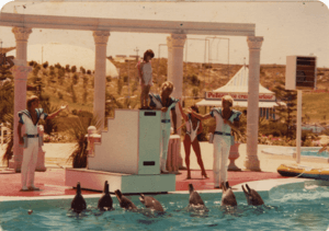 Atlantis dolphins 1980s.png