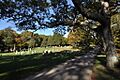 BarnstableMA MarstonsMillsCemetery