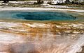 Beauty pool