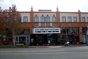 Birch North Park Theater (Nov 2009)