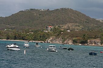 Boats in Esperanza, Vieques, Puerto Rico
