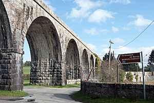 Borris Viaduct, Borris, County Carlow-1