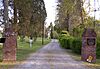 Boxwoods driveway.jpg