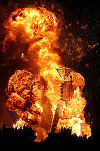 Burning Man 2014 (15128868536)