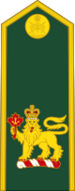 Canadian Army (Commander-in-Chief of the Canadian Armed Forces).svg