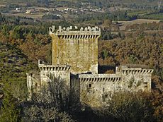 Castelo de Pambre 2