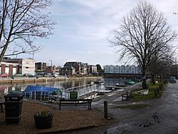 Chichester canal basin 2011
