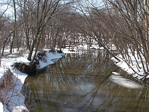 Chillisquaque Creek in Derry Township, Montour County