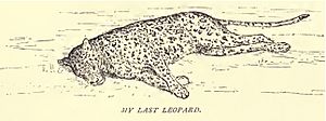Douglas Hamilton, My last leopard, Feb. 8, 1870