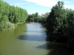 Duero 7
