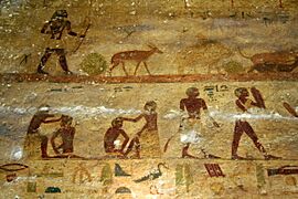 EgypteBH164