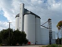 Farrell Flat silos