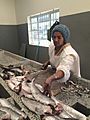 Filleting the catch at Hout Bay Harbour