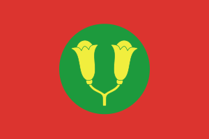 Flag of the Sultanate of Zanzibar (1963)