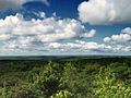 Flickr - Nicholas T - Pine Hill Vista (Revisited) (3)