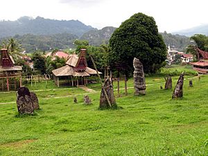 Funerary Monoliths, Karassic Village, Tana Toraja 1425