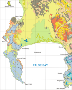 Geological map of the Cape Peninsula and False Bay