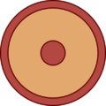 Germaniciani seniores shield pattern
