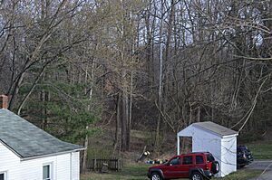 Gish Branch-area woods with the Valley Railroad Bridge