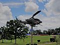 Helicopter in Bicentennial Park